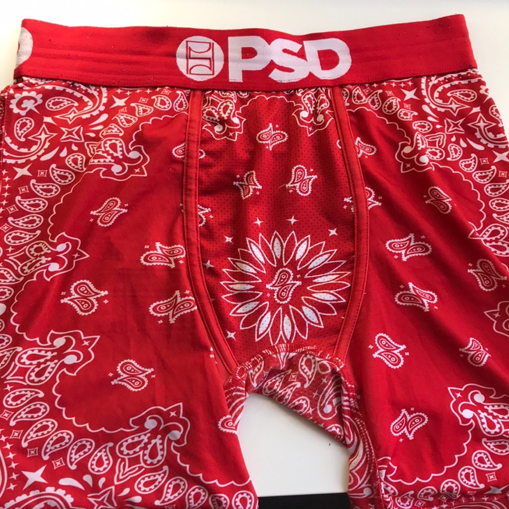 Briefs